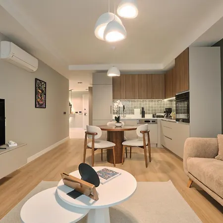 Bsy Flats Well Decorated Modern With 2br, 3br Options Daire