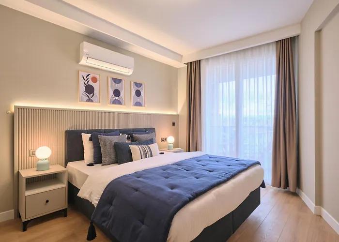 Bsy Flats Well Decorated Modern With 2br, 3br Options