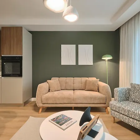 Bsy Flats Well Decorated Modern With 2br, 3br Options *