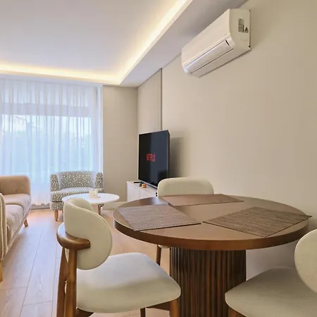 Bsy Flats Well Decorated Modern With 2br, 3br Options *