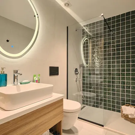 Bsy Flats Well Decorated Modern With 2br, 3br Options